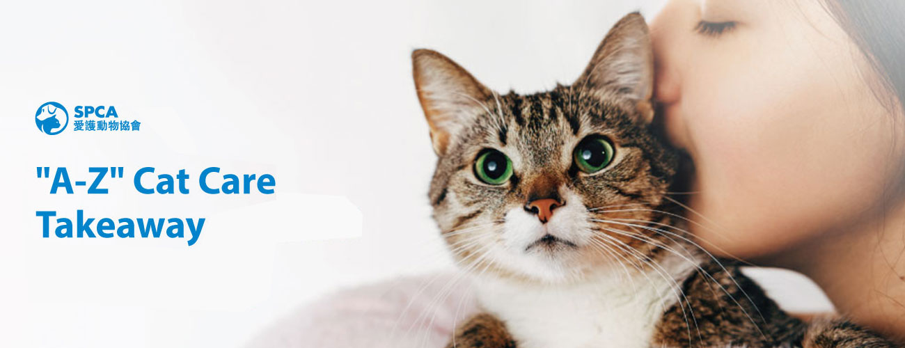 A_Z_webbanner_v2_cat_EN “A-Z” CAT CARE TAKEAWAY
