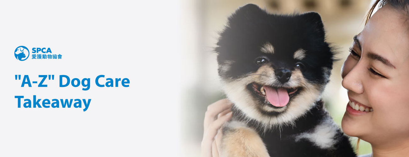 A_Z_webbanner_v2_dog_EN “A-Z” DOG CARE TAKEAWAY
