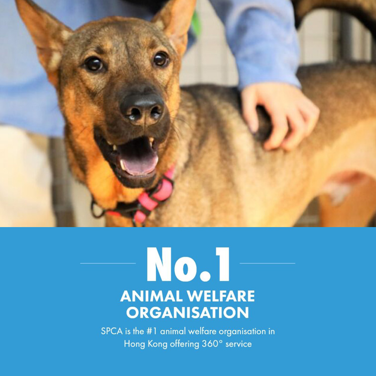 banner-mb-en-1-755x755