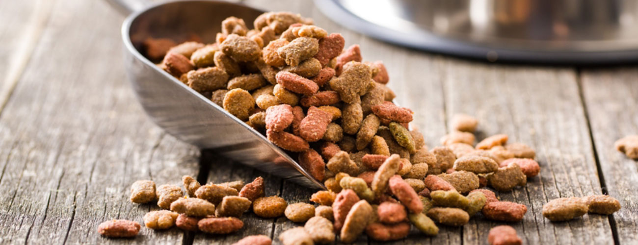 basic-pet-nutrition BASIC PET NUTRITION