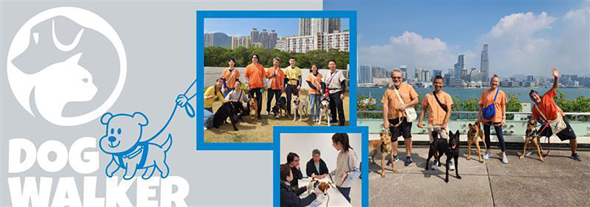 bnt_DogWalker_1200x423