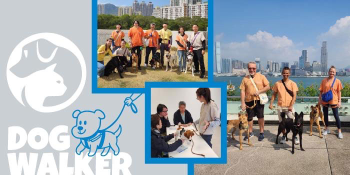 bnt_DogWalker_v2_700x350