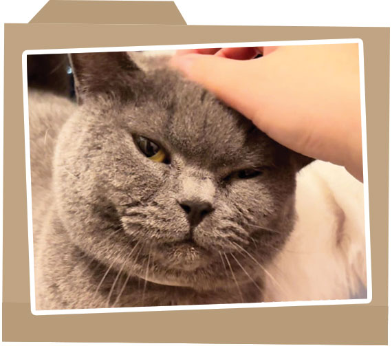 case_folder_photo_120