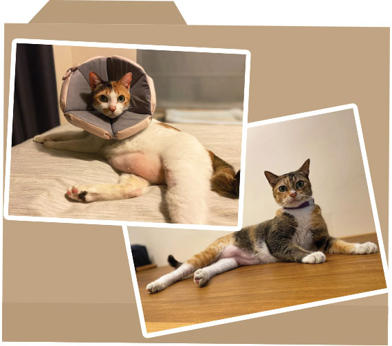 case_folder_photo_121