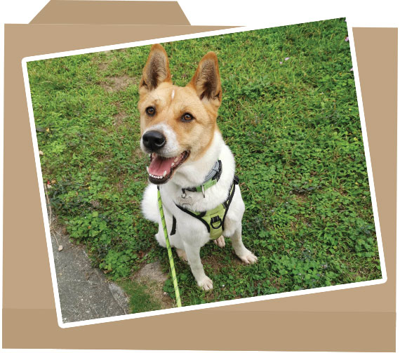 case_folder_photo_122