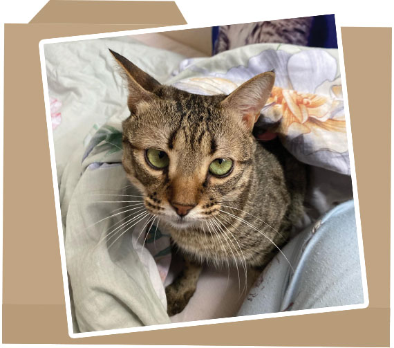 case_folder_photo_123