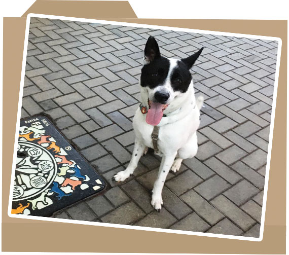 case_folder_photo_124