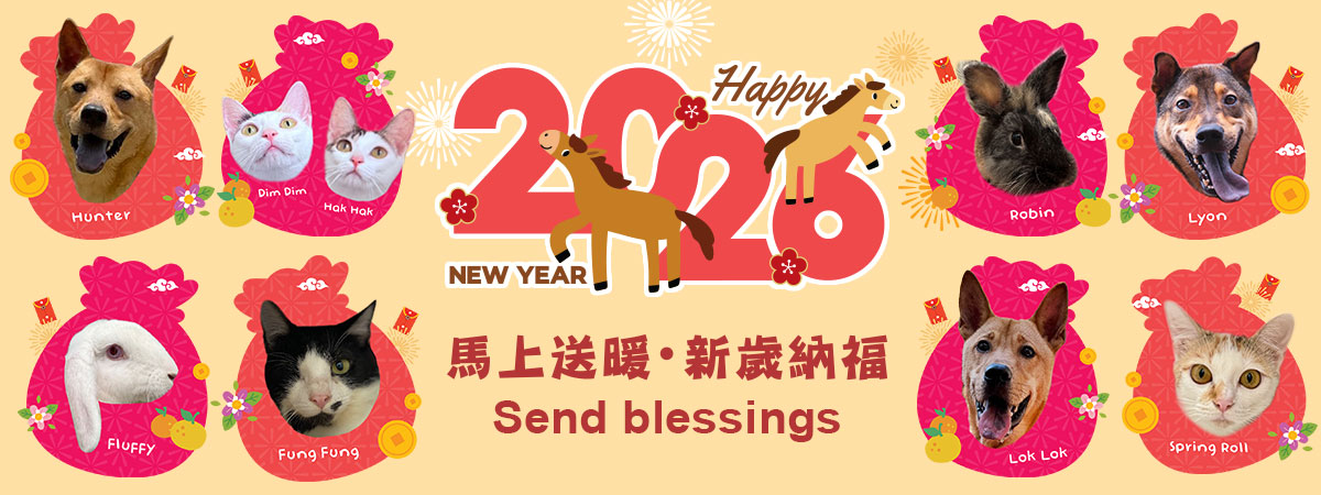 cny_2026_1200x560