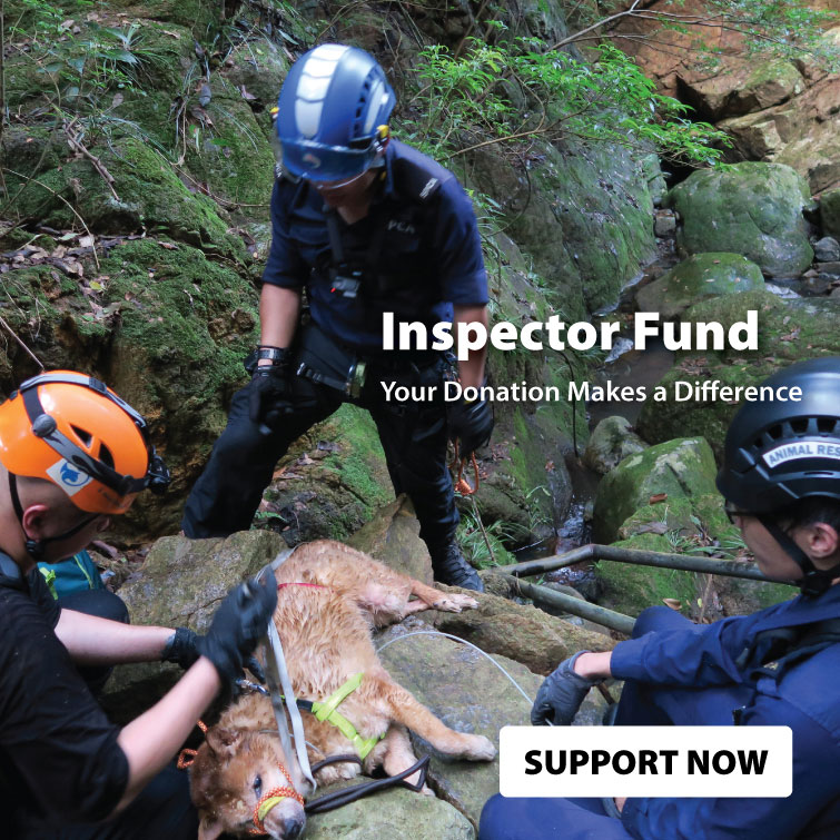 InspectorFund2025_banner_755_EN