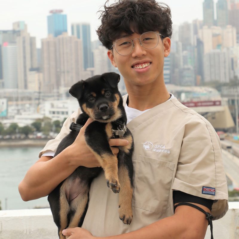 Nicolas_800 Nicolas_800