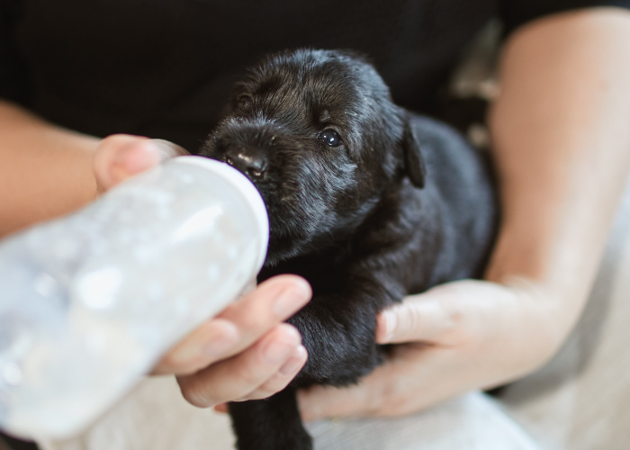 photo_donationpage2024_2