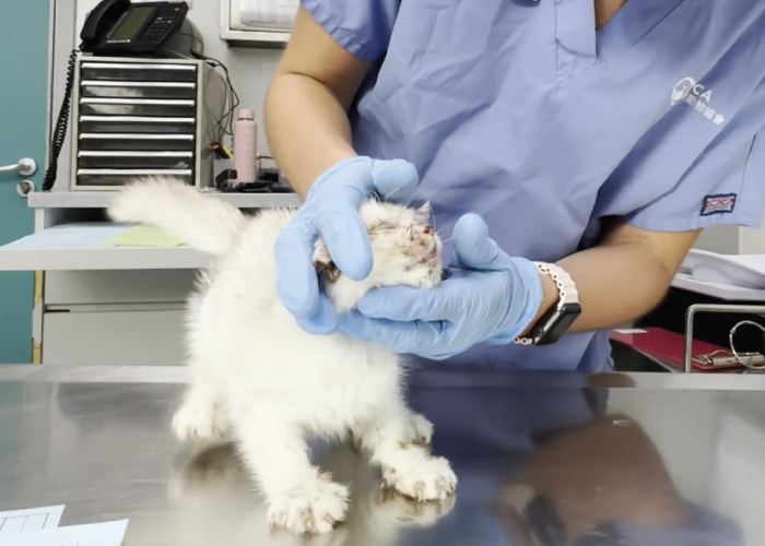 photo_donationpage2024_3