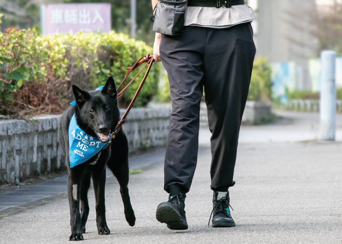 photo_donationpage2024_5