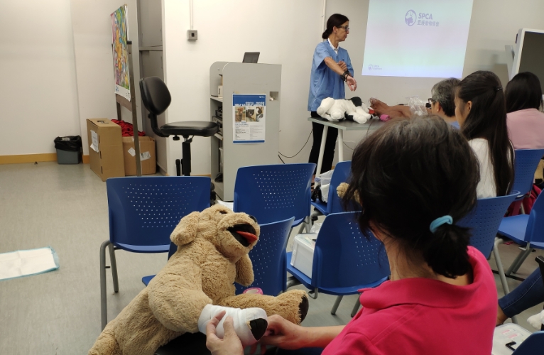 thn-Animal Welfare Campaigns and Programs