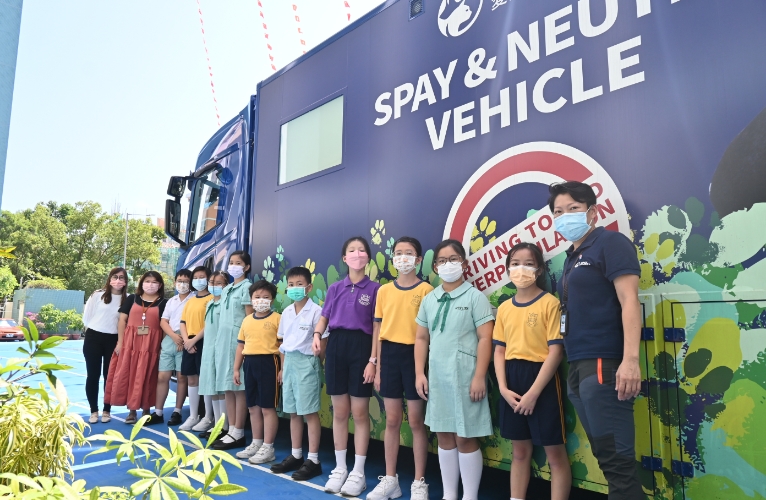 thn-Animal Welfare in Hong Kong