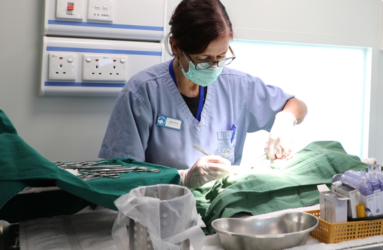 thn-Our Veterinary Surgeons