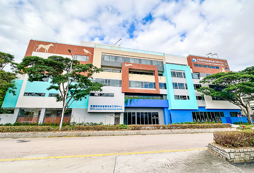 tsing-yi-centre_859x585