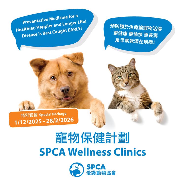 wellness2025_web_755_v2